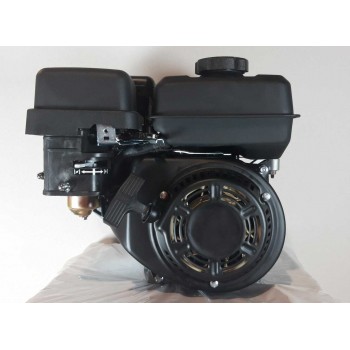 Benzinmotor 165cc OHV zylindrische Welle 19 mm 4-Takt Benzin 5,5 PS Verbrennungsmotor