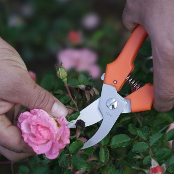 Ciseaux FALKET pour cueillir les fleurs en acier inoxydable avec sangle Forbici da giardino