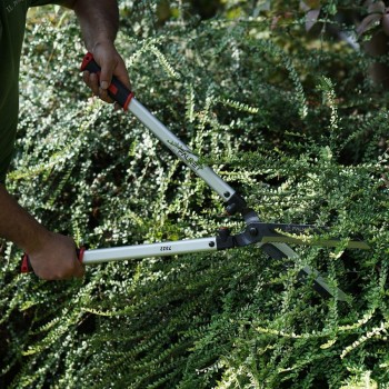 FALKET professional hedge trimmer Hedge shears
