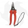 FALKET COGLIUVA scissors in stainless steel with leather strap Garden shears