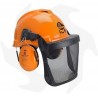 Casco de protección profesional con visor y auriculares para uso forestal Cascos y Viseras