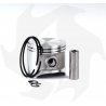 Replacement cylinder and piston for HUSQVARNA 362, JONSERED 2163 chainsaws (009037BM) Cylinder and Piston