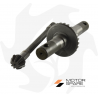 Conical pair of pinion + Crown + Smooth lower axle cutter 21 Z:9/25 BGG21CC for Goldoni engines Spare parts for walking tractors