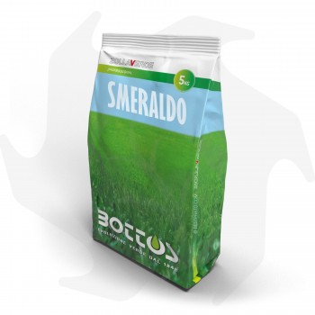 Smeraldo Bottos - 5Kg Fortschrittliches Saatgut für Zierrasen von großem Wert Rasensamen