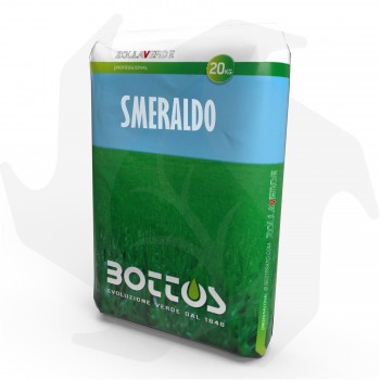 Smeraldo Bottos - 20Kg Fortschrittliches Saatgut für Zierrasen von großem Wert Rasensamen