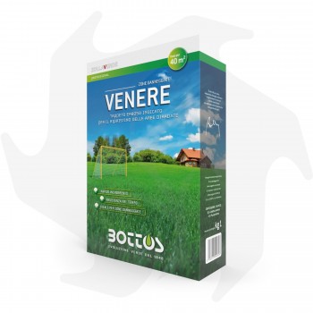 Venere Bottos - 1Kg Advanced seeds for reseeding and regenerating the lawn Lawn seeds