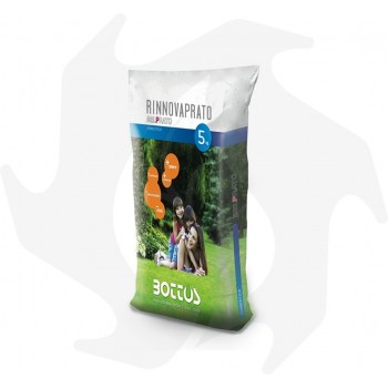 Rinnovaprato Bottos - 5 kg Samen für die Wiederaussaat und die Regeneration des Wohn - Garten und rustikalen Rasen Rasensamen