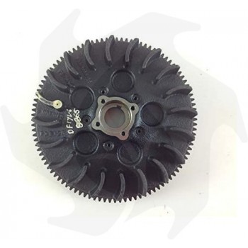 Flywheel electric start kit 6LD 360 - 400 - 435 - 520 - 530 LOMBARDINI DIESEL engine Lombardini engine spare parts