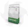 Royal Sea Bottos - 10Kg Professional seeds for high-quality lawns in marine and coastal areas. Lawn seeds