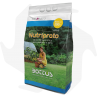Nutriprato Bottos - 5 kg Dünger für die Schaffung und die Regeneration des Rasens Rasendünger