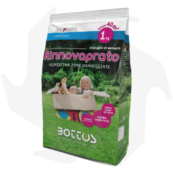 Rinnovaprato Bottos - 1 kg de graines pour le réensemencement et la régénération du jardin résidentiel et de la pelouse rusti...