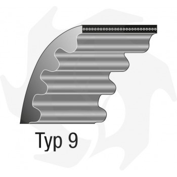 Cinghia di trasmissione Tipo 9 1160-8M-12 Cinghie dentate