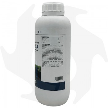 WATER X Bottos - 1Kg Benetzungsmittel für Rasen Spezialprodukte für Rasen