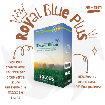 Royal Blue Plus Bottos - 1Kg Semillas profesionales curtidas para césped verde oscuro resistente a enfermedades y sequías Sem...