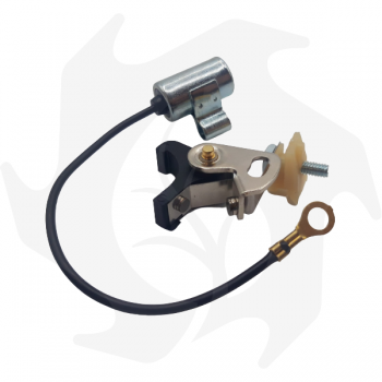 Puntine Platinate + Condensatore Per Motori Aspera-Tecumseh-Tecnamotor-Beta Puntine Platinate - Condensatore
