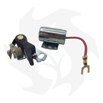 Platinierte Punkte und Kondensator für ACME AL 215 - 290 - 330 Motor Plattierte Stifte - Kondensator