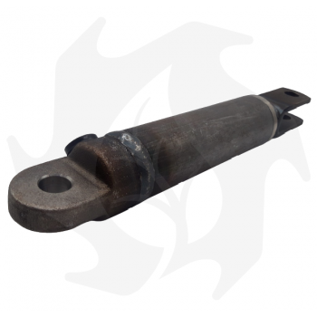 Piston Hydraulic braking jack return spring Ø 25 stroke 70 for trailers Accessories for Trailers