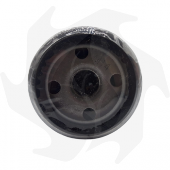 Cartouche de filtre à huile moteur Slanzi DVA 920-1030 Filtre à l'huile