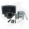 Cylinder and piston for Robin EC10 engines ROBIN Cylinders - SUBARU