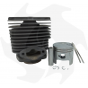 Cylinder and piston for ROBIN EC 08 engines (016942BM) ROBIN Cylinders - SUBARU