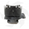 Cylindre et piston pour moteurs ROBIN EC 08 (016942BM) ROBIN - SUBARU