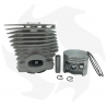 Zylinder und Kolben für Motorsensen STIHL FS 420 - FS 500 - FS 550 (017040BM) STIHL