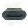 Air filter for Briggs & Stratton Vanguard 5 HP lawnmower Air - diesel filter