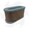 Air filter for Briggs & Stratton Vanguard 5 HP lawnmower Air - diesel filter
