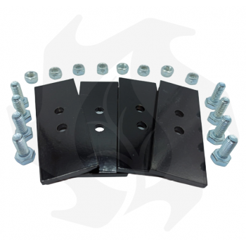 Replacement blades for Berta rotary plough Accessories for agriculture