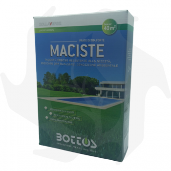 Maciste Bottos - 1Kg Samen für Rasen Rasensamen