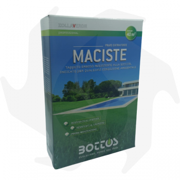 Maciste Bottos - 1Kg Samen für Rasen Rasensamen