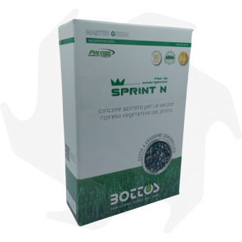 Sprint N Bottos -2 Kg Concime professionale rinverdente a pronto e lungo effetto per il risveglio del prato Concimi per prato