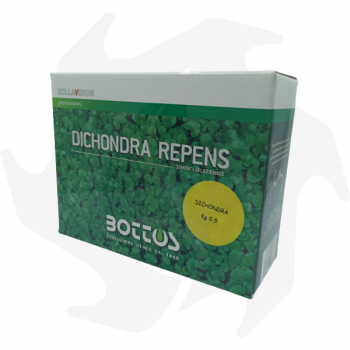 Dichondra Repens Bottos - 500 g Dichondra repens semillas cubresuelos para alfombras gruesas de bajo mantenimiento Semillas d...