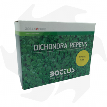 Dichondra Repens Bottos - 500 g Sementi dicondra repens tappezzanti per tappeto folto a bassa manutenzione Sementi per prato