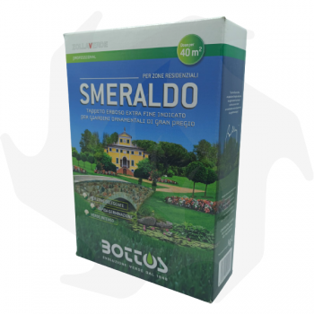 Smeraldo Bottos - 1Kg Advanced graines pour pelouse ornementale de grande valeur graines