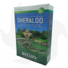 Smeraldo Bottos - 1Kg Semillas avanzadas para césped ornamental de gran valor Semillas de césped