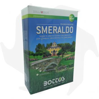 Emerald Bottos - 1Kg Advanced seeds for ornamental lawns of great value Lawn seeds