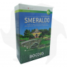 Smeraldo Bottos - 1Kg Advanced graines pour pelouse ornementale de grande valeur graines