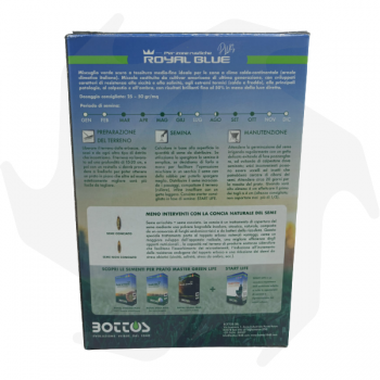 Royal Blue Plus Bottos - 1Kg Professionelles gegerbtes Saatgut für dunkelgrünen Rasen, der resistent gegen Krankheiten und Tr...