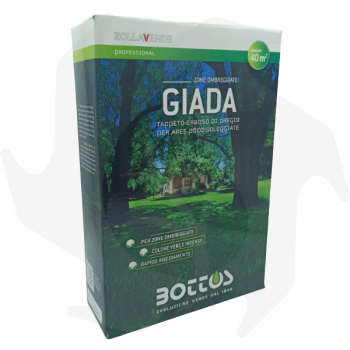 Giada Bottos - 1Kg Fortgeschrittene Samen für schattigen Rasen law Rasensamen