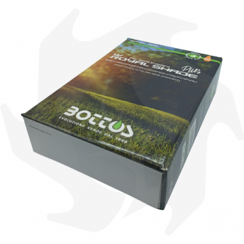 Royal Shade Plus Bottos - 1Kg Professionelle gegerbte Samen für dunkelgrünen Rasen, ideal für schattige Bereiche Rasensamen