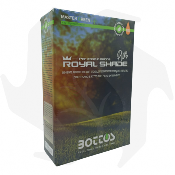 Royal Shade Plus Bottos - 1Kg Graines tannées professionnelles pour pelouse vert foncé idéales pour les zones ombragées graines