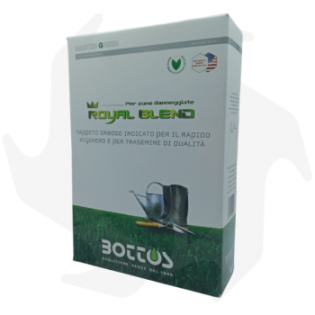 Royal Blend Bottos - 1Kg Graines professionnelles pour re-semer de précieuses pelouses vert foncé. graines