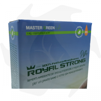 Royal Strong Plus Bottos - 1Kg Graines tannées professionnelles pour pelouse résistante aux maladies graines