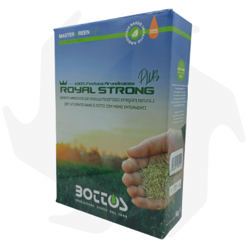Royal Strong Plus Bottos - 1Kg Semillas curtidas profesionales para césped resistente a enfermedades Semillas de césped
