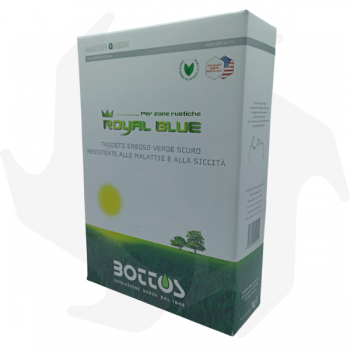 Royal Blue Bottos - 1Kg Sementi professionali per prato verde scuro resistene alle malattie e alla siccitá Sementi per prato