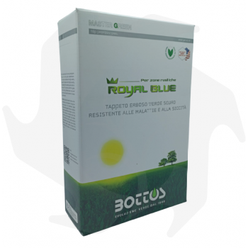 Royal Blue Bottos - 1Kg Les graines professionnelles pour pelouses vert foncé résistent aux maladies et à la sécheresse graines