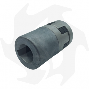 Elastic coupling for group 2 pump and electric motor size 100-112 from 2.2KW to 4Kw Hydraulic pumps and accessories