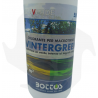 Wintergreen Bottos - Tinte para césped inactivo macrotherm de 500 ml Productos especiales para el césped