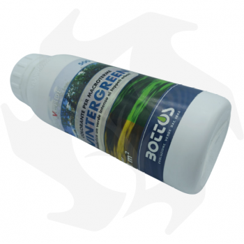 Wintergreen Bottos - Tinte para césped inactivo macrotherm de 500 ml Productos especiales para el césped